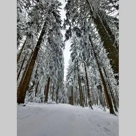 Gemuetliche Ferienwohnung Fuer 4 Gaeste In Schoenwald * Schoenwald im Schwarzwald